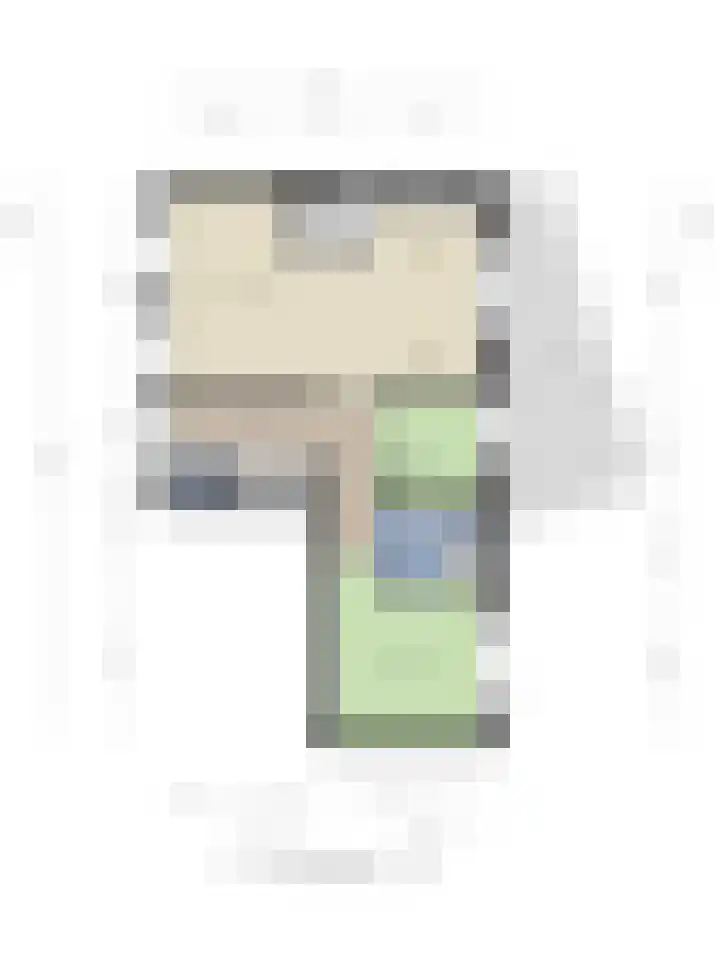 Dubbele Poort 8 Hulst thumbnail 28