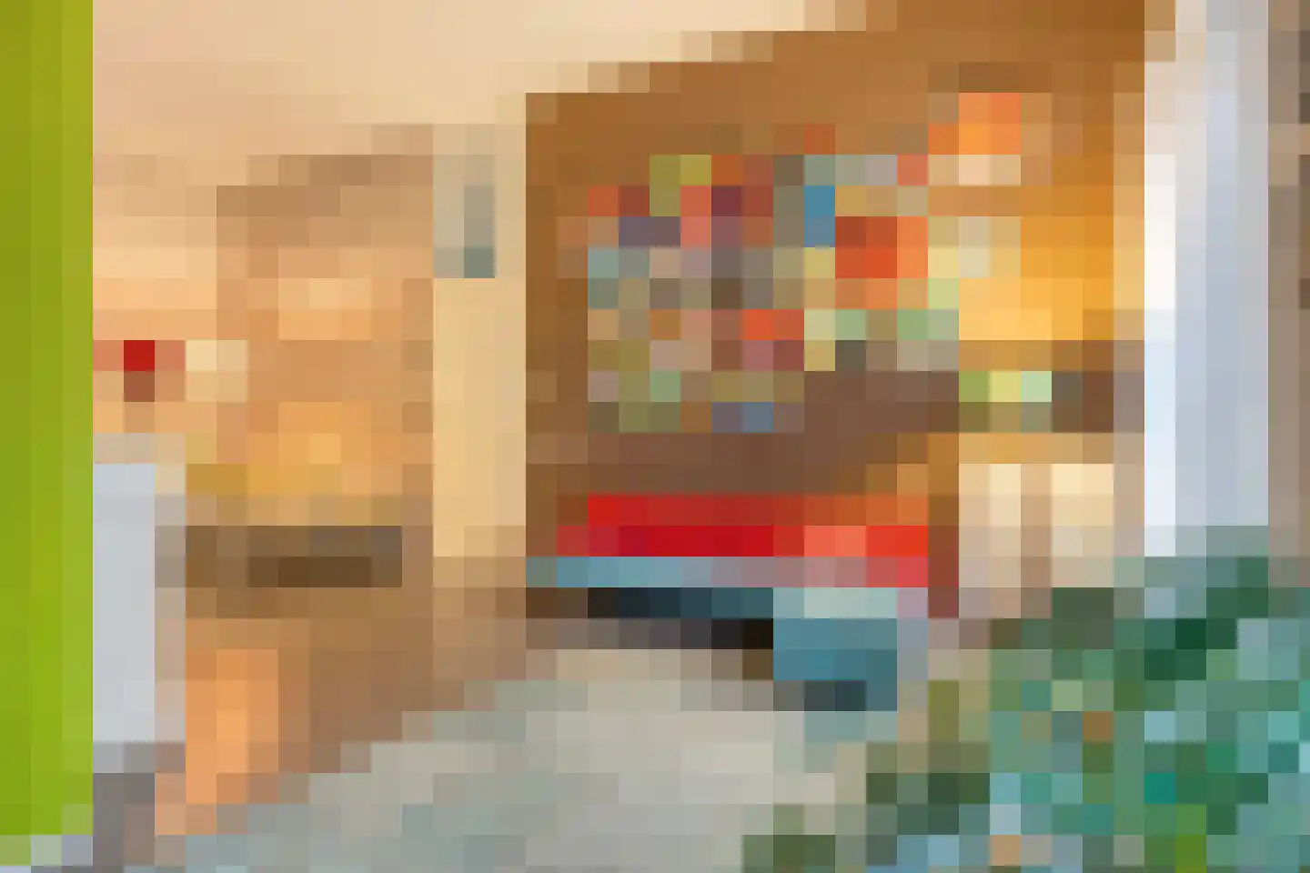 Dubbele Poort 8 Hulst thumbnail 5