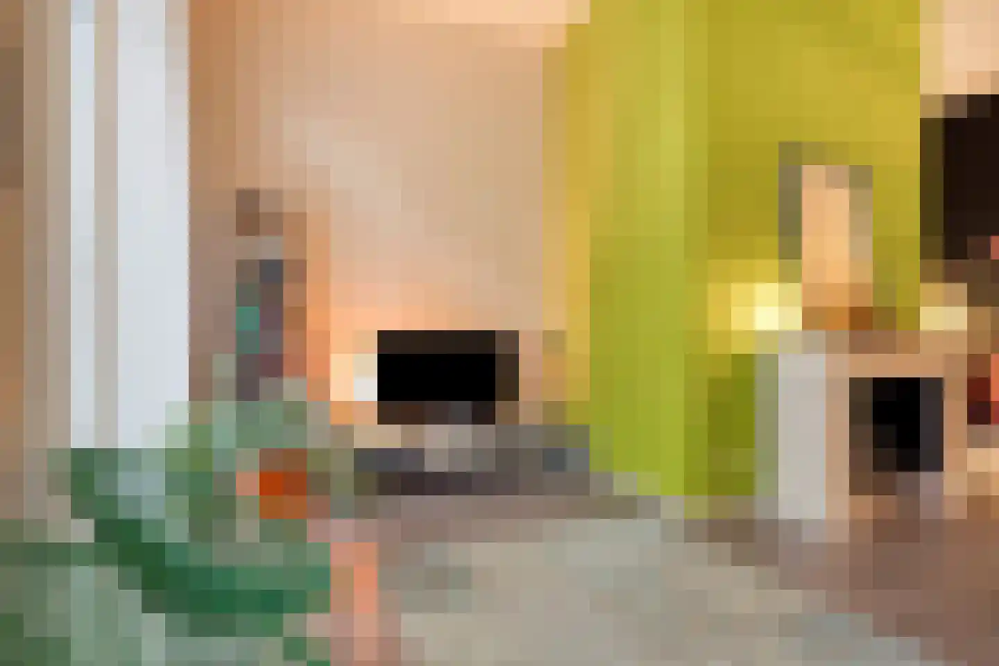 Dubbele Poort 8 Hulst thumbnail 6