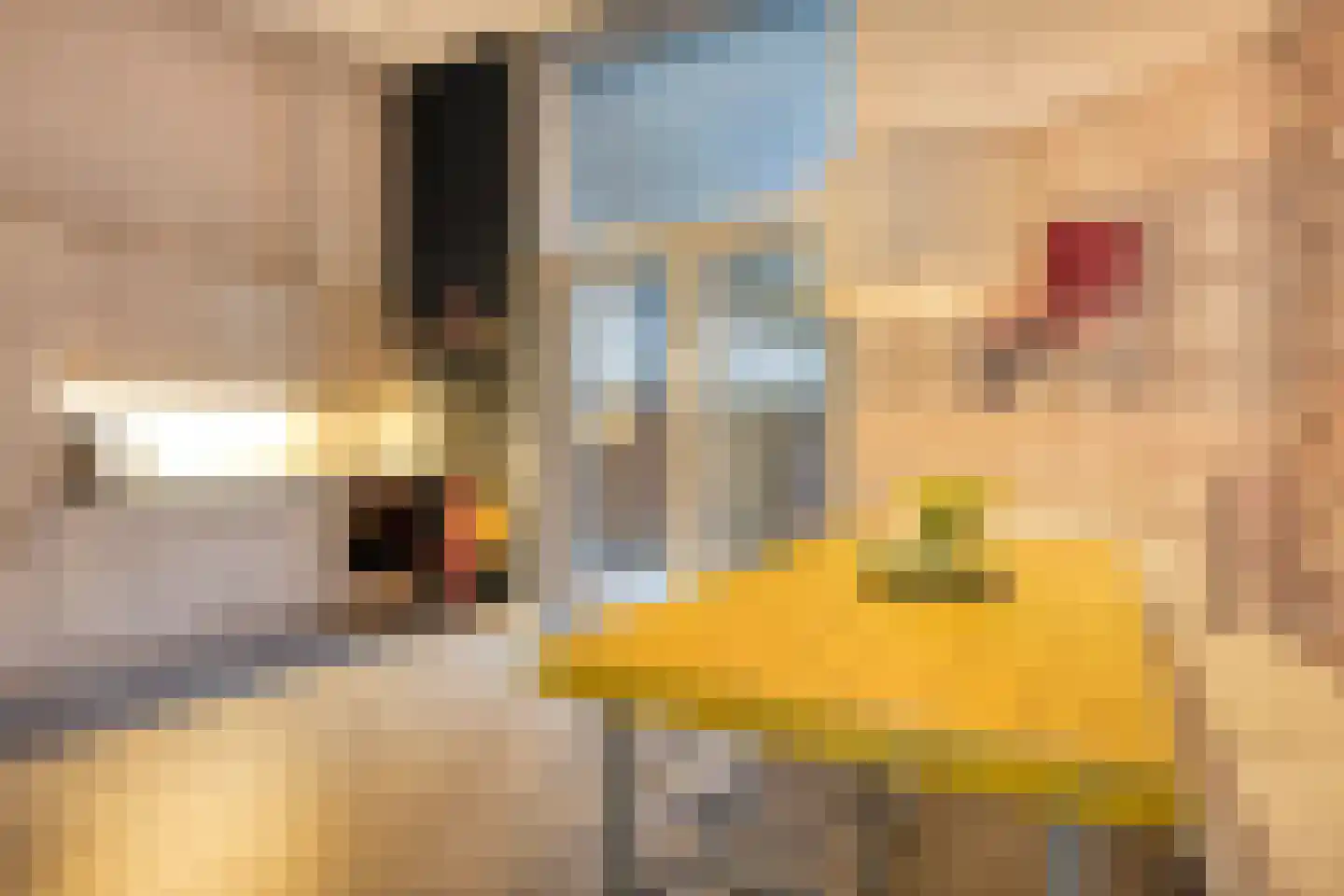 Dubbele Poort 8 Hulst thumbnail 8