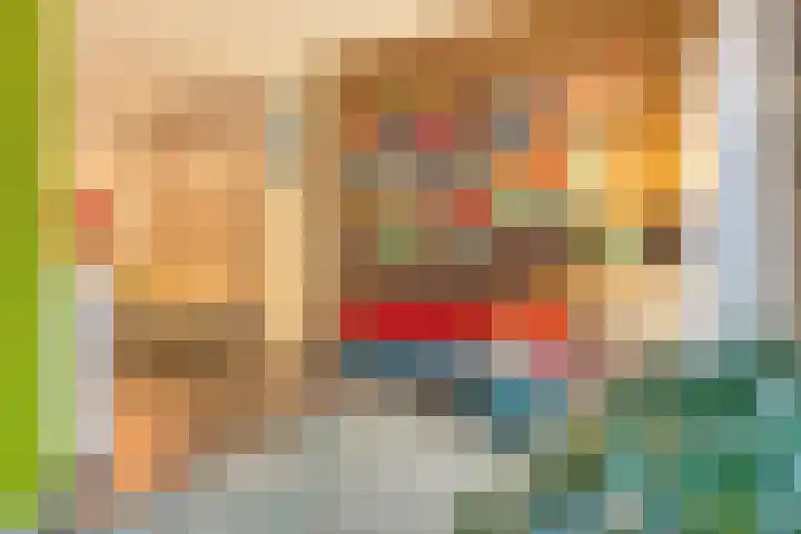 Dubbele Poort 8 Hulst thumbnail 9
