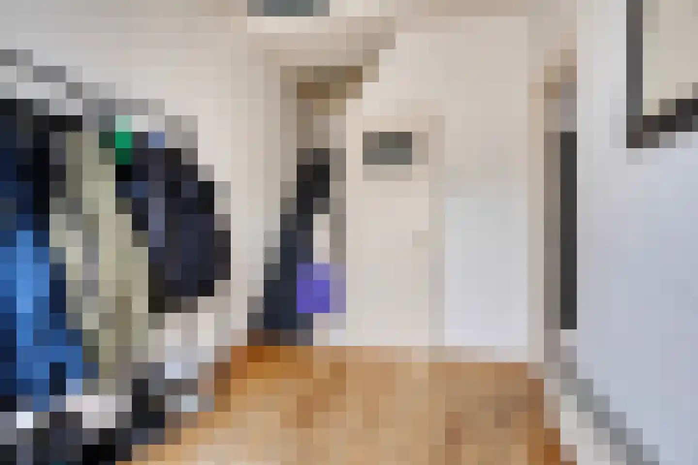 Dubbele Regel 1 Heerenveen thumbnail 10