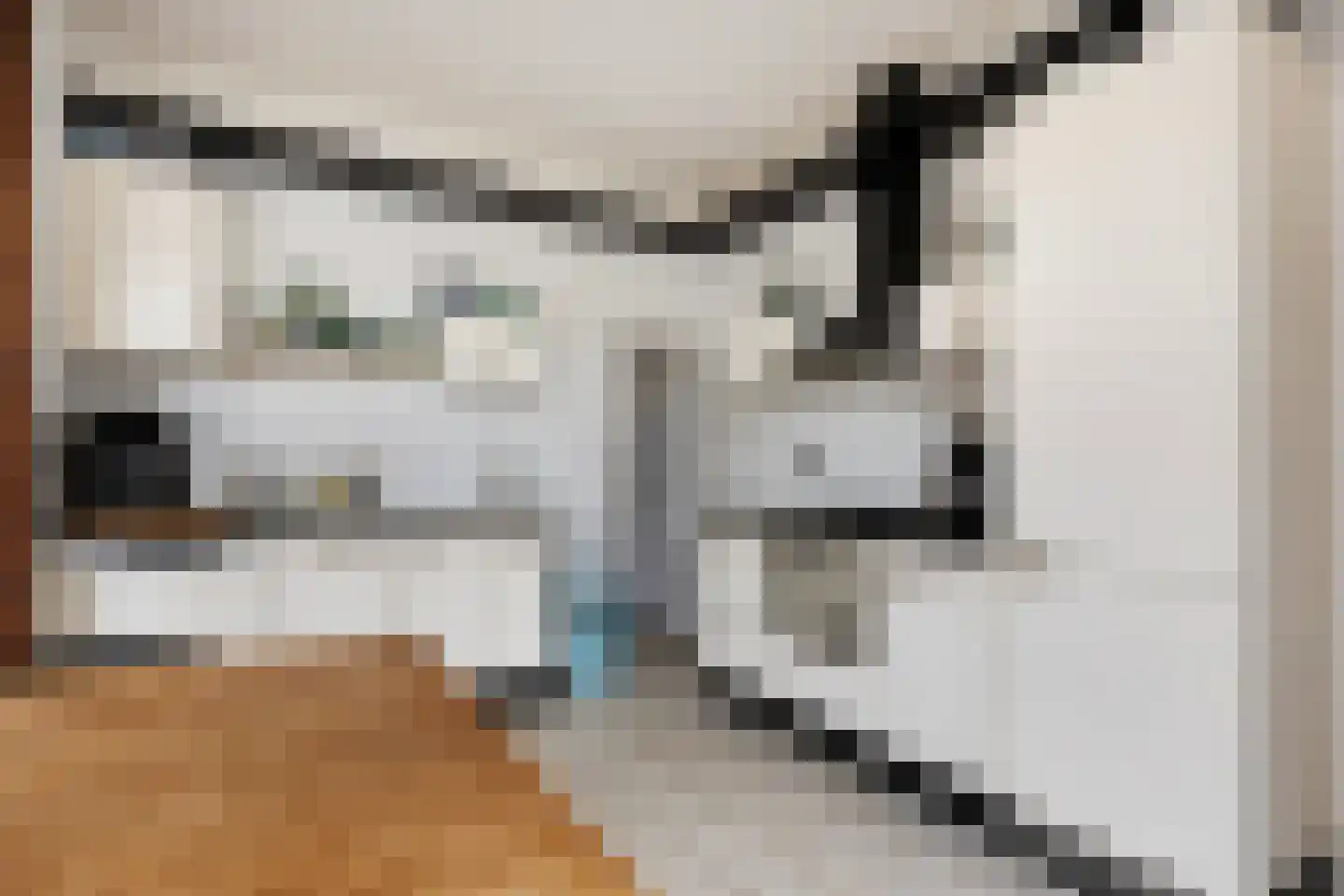 Dubbele Regel 1 Heerenveen thumbnail 6