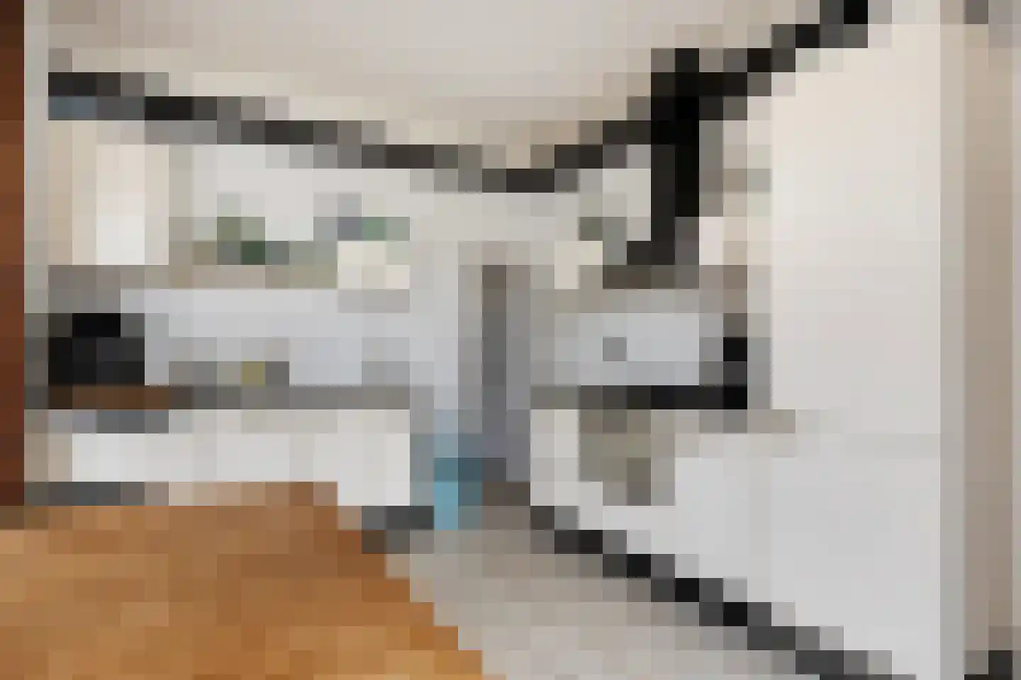 Dubbele Regel 1 Heerenveen thumbnail 6