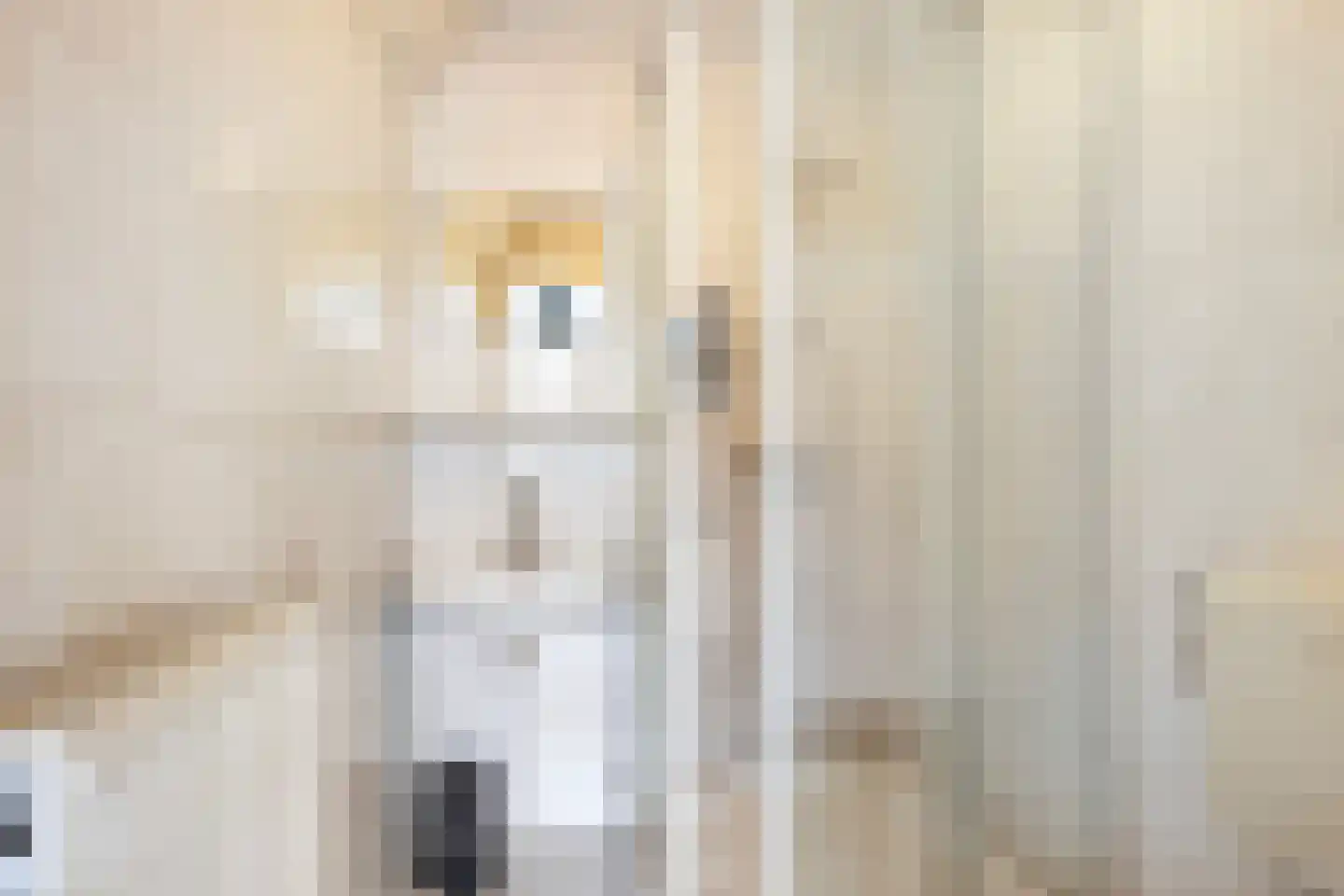 Dubbele Regel 1 Heerenveen thumbnail 8