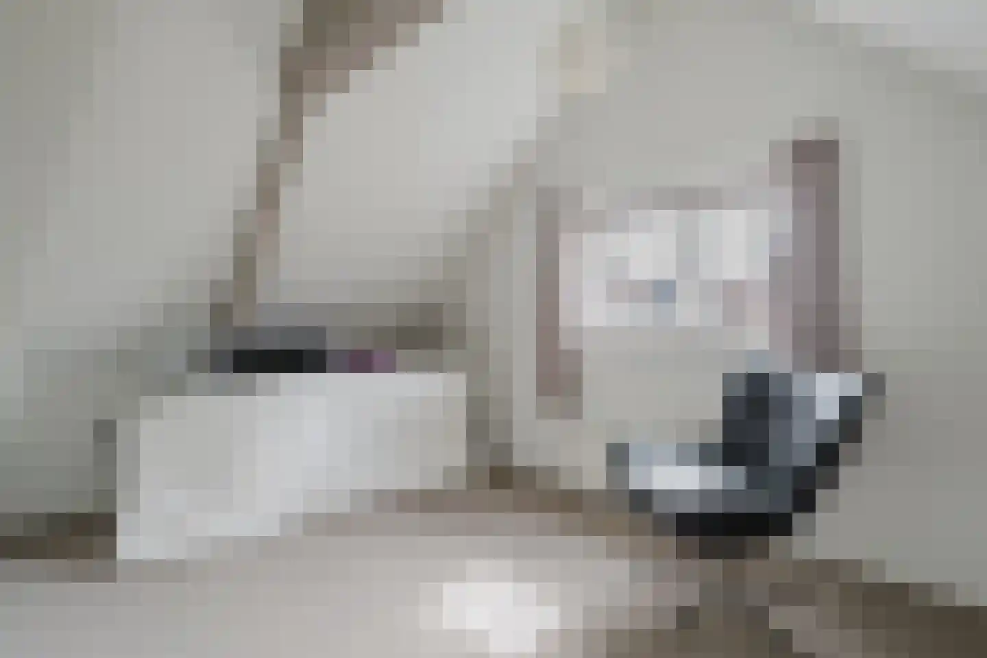 Dubbele Regel 2 Heerenveen thumbnail 39