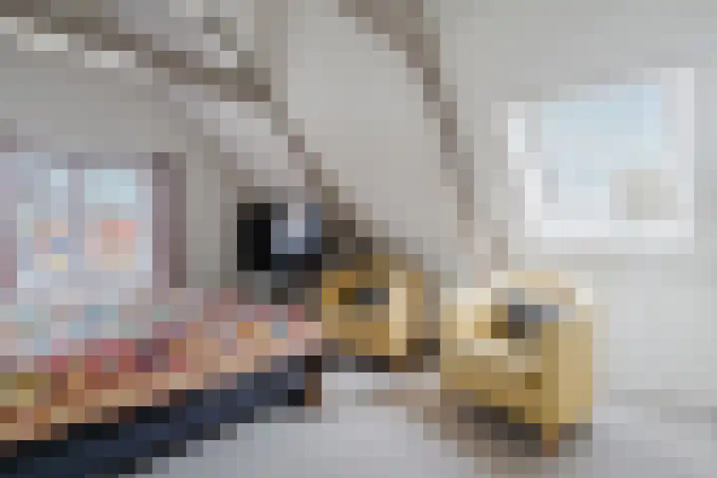 Dubbele Regel 2 Heerenveen thumbnail 41