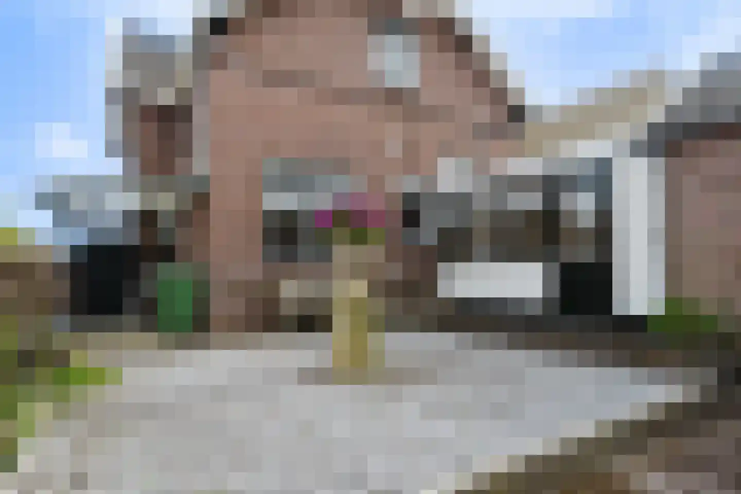 Dubbele Regel 2 Heerenveen thumbnail 43