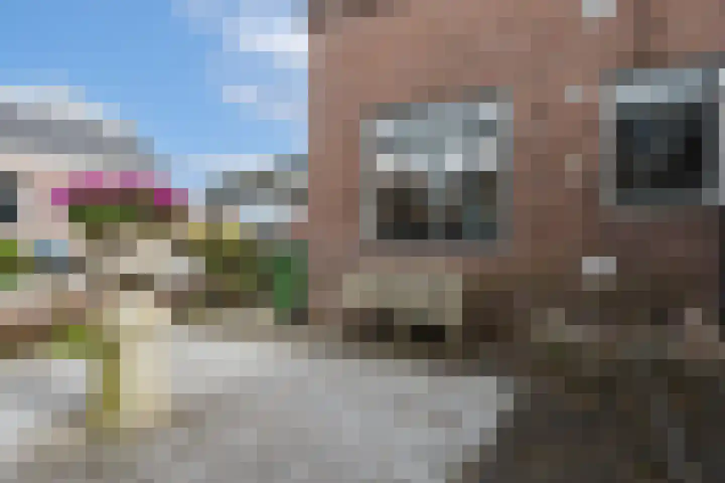 Dubbele Regel 2 Heerenveen thumbnail 44