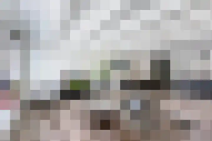 Dubbele Regel 28 Heerenveen thumbnail 17