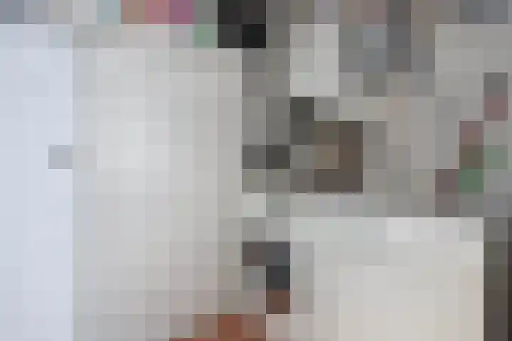 Dubbele Regel 28 Heerenveen thumbnail 25