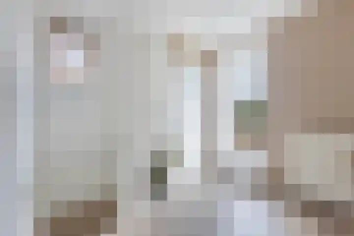 Dubbele Regel 28 Heerenveen thumbnail 26