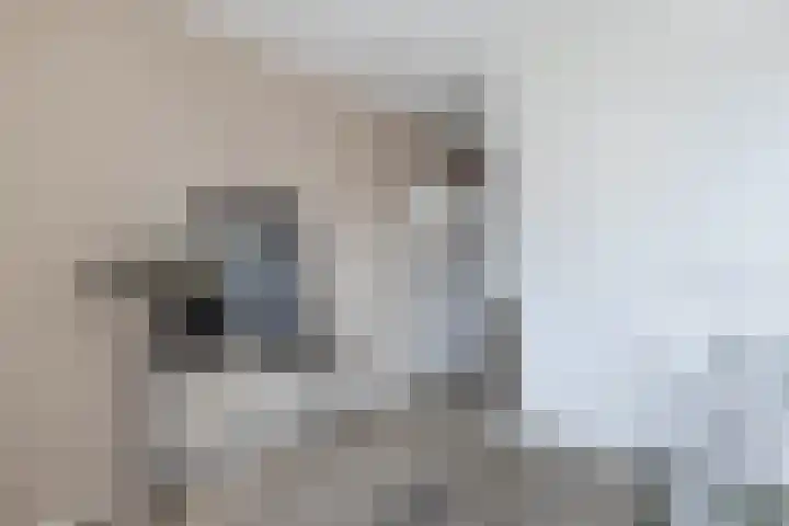 Dubbele Regel 28 Heerenveen thumbnail 29