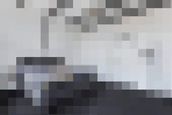 Dubbele Regel 28 Heerenveen thumbnail 31