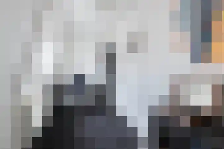 Dubbele Regel 28 Heerenveen thumbnail 35