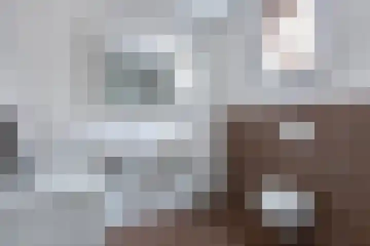 Dubbele Regel 28 Heerenveen thumbnail 36