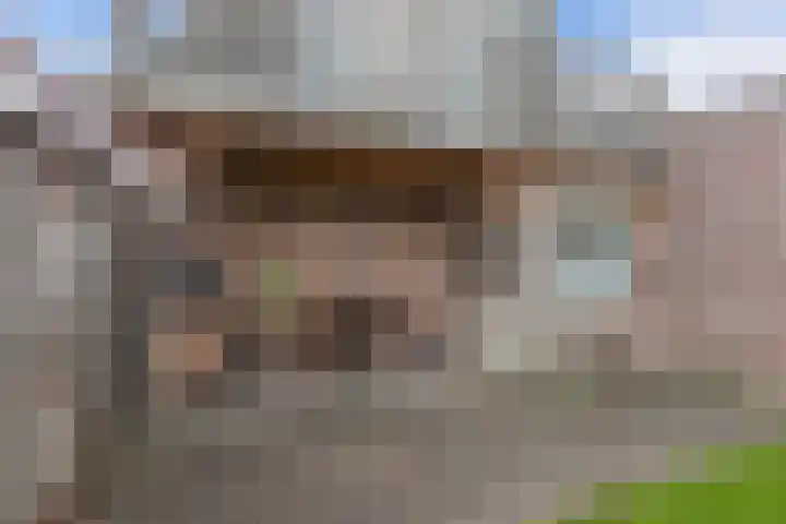 Dubbele Regel 28 Heerenveen thumbnail 43