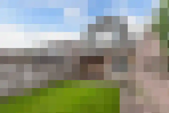 Dubbele Regel 28 Heerenveen thumbnail 44