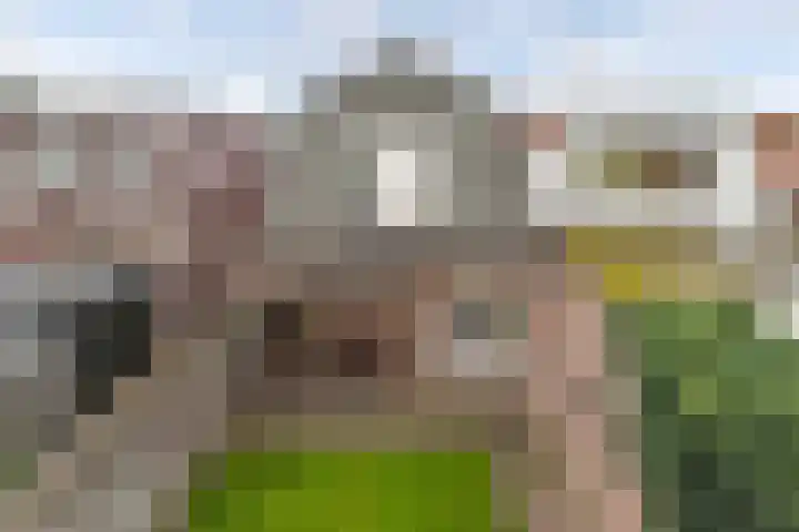 Dubbele Regel 28 Heerenveen thumbnail 45