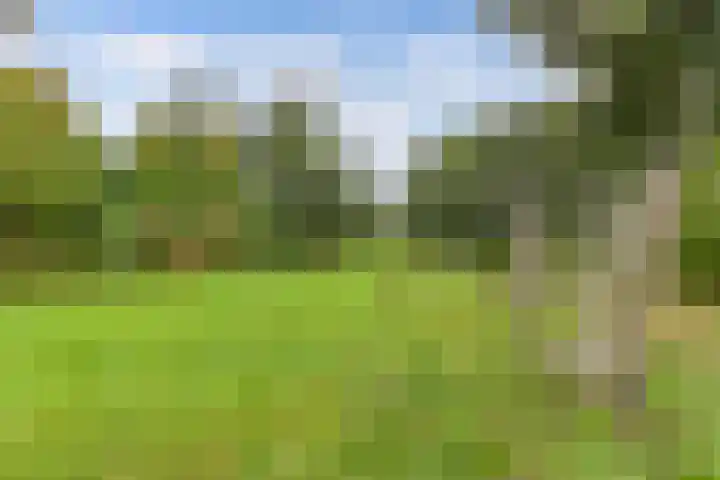 Dubbele Regel 28 Heerenveen thumbnail 47
