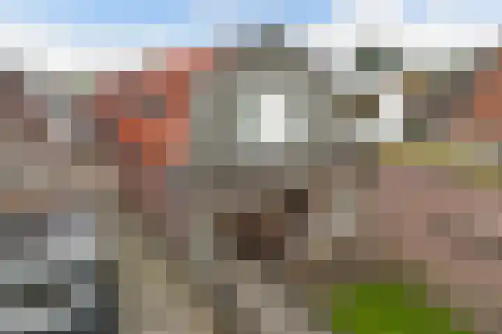 Dubbele Regel 28 Heerenveen thumbnail 48