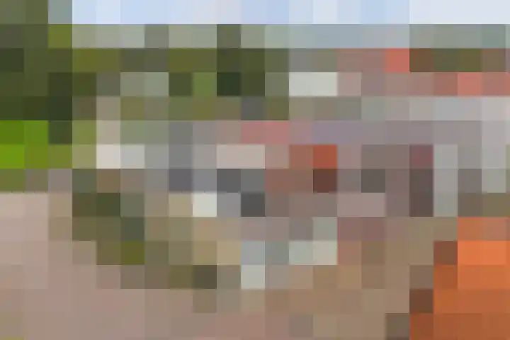 Dubbele Regel 28 Heerenveen thumbnail 54