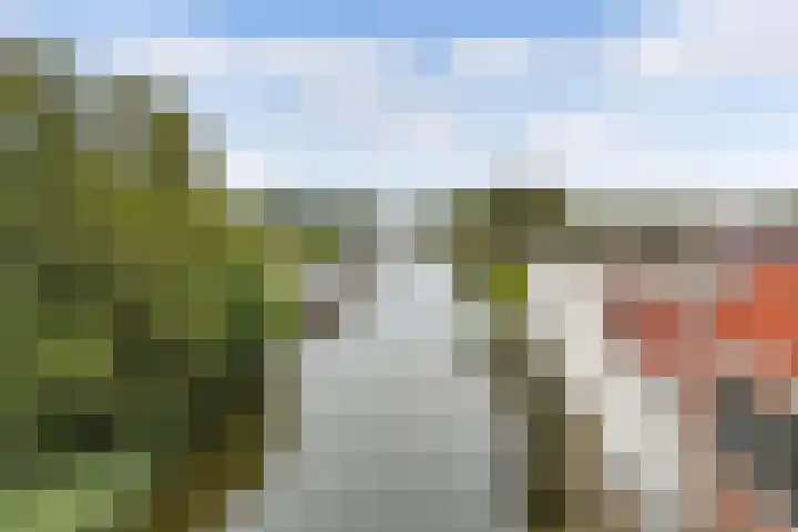 Dubbele Regel 28 Heerenveen thumbnail 57