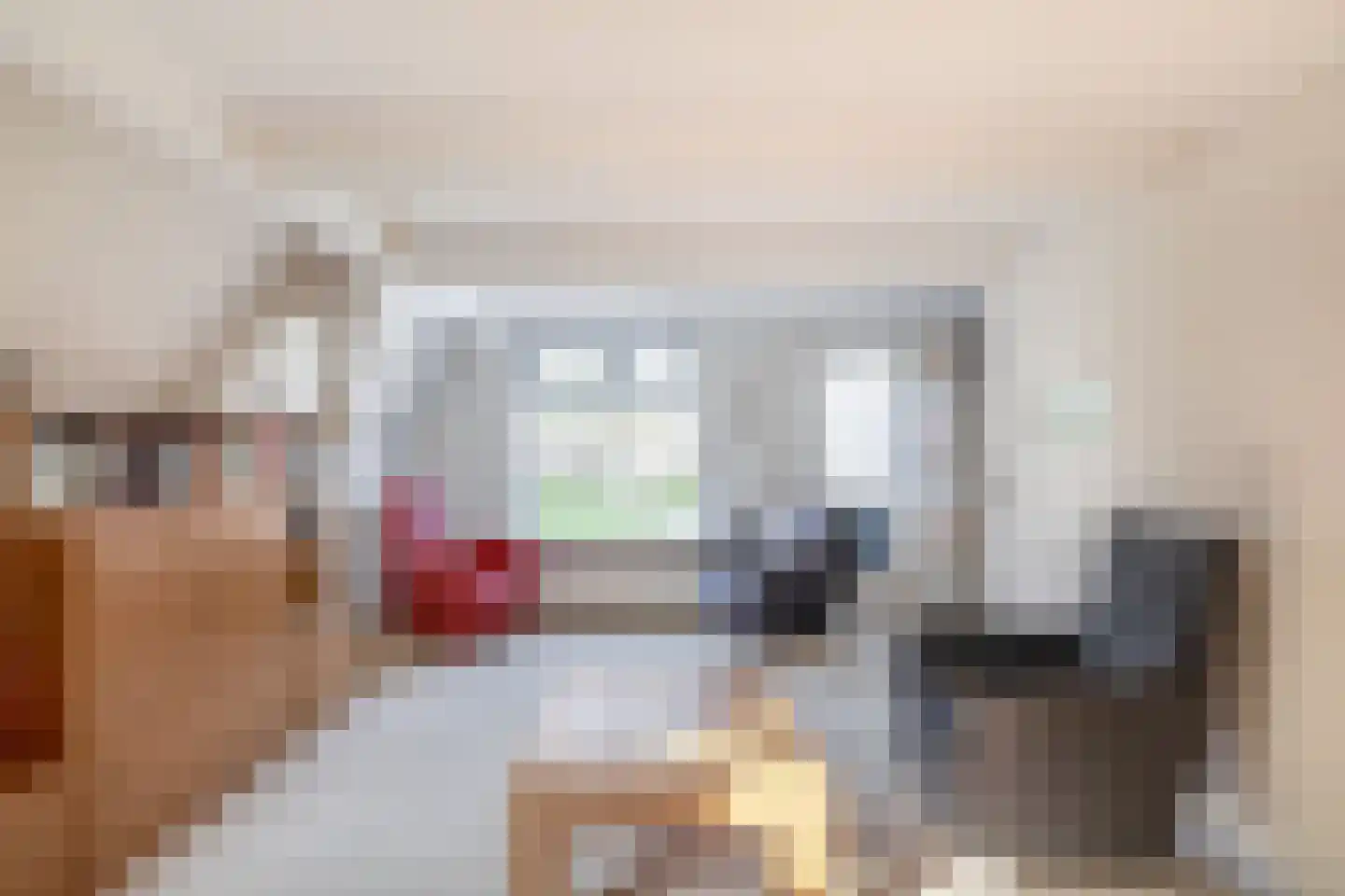 Dubbele Ring 15 Sommelsdijk thumbnail 29