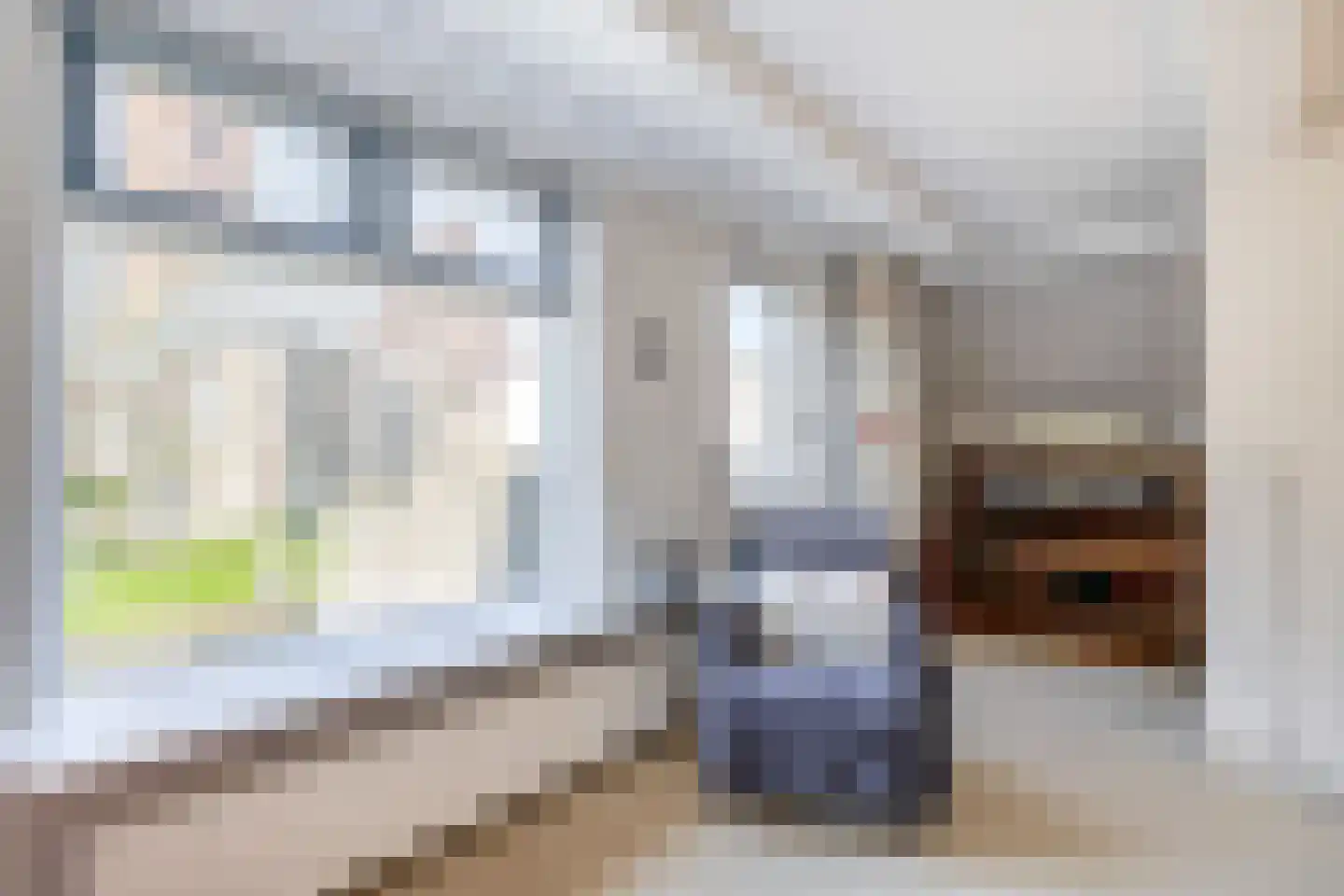 Dubbele Ring 15 Sommelsdijk thumbnail 30