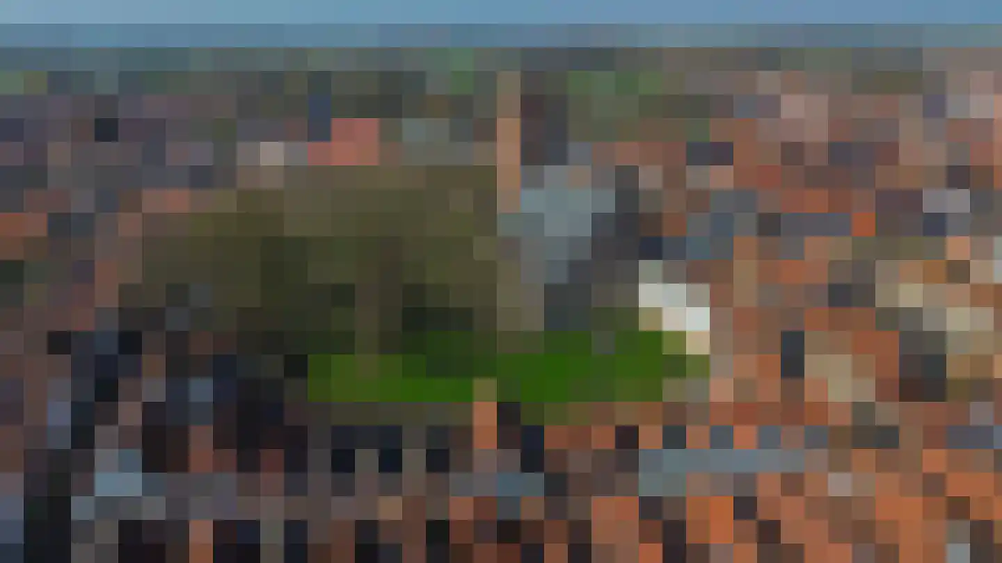 Dubbele Ring 15 Sommelsdijk thumbnail 39