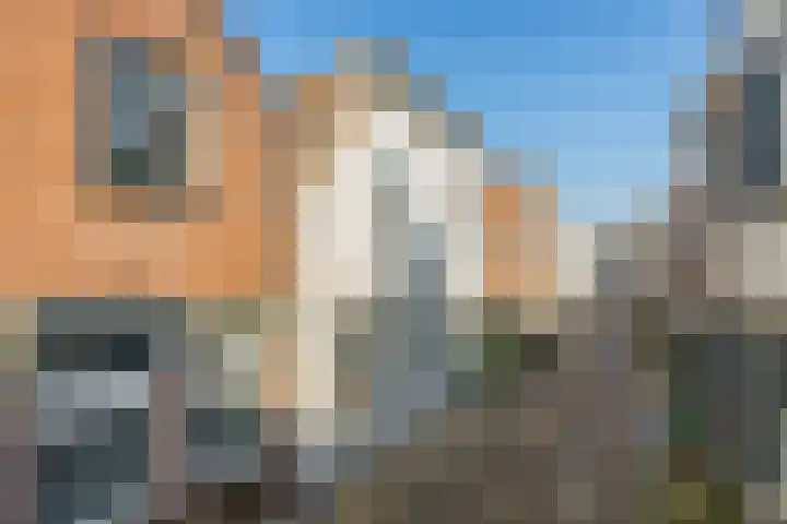 Dubbele Ring 15 Sommelsdijk thumbnail 5