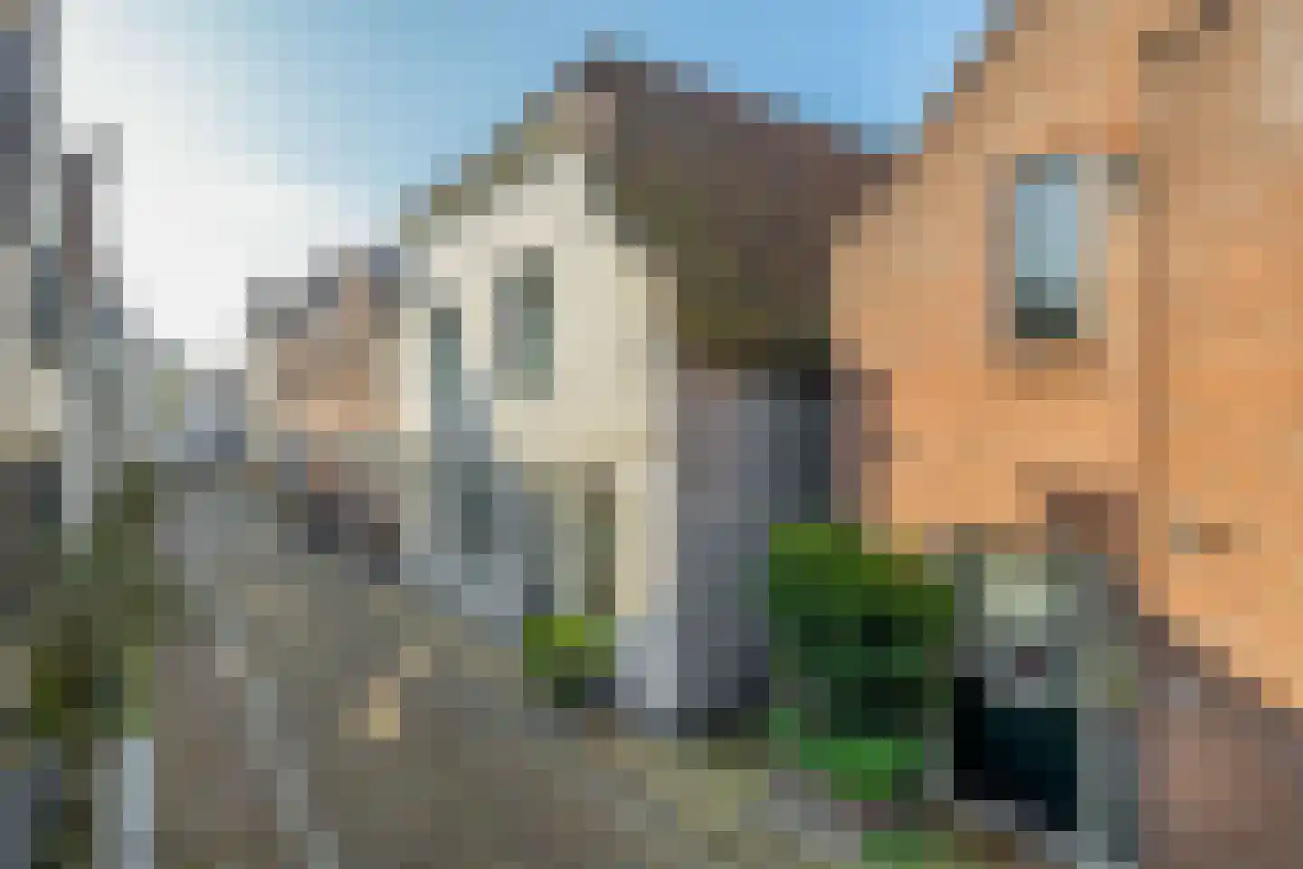 Dubbele Ring 15 Sommelsdijk thumbnail 5