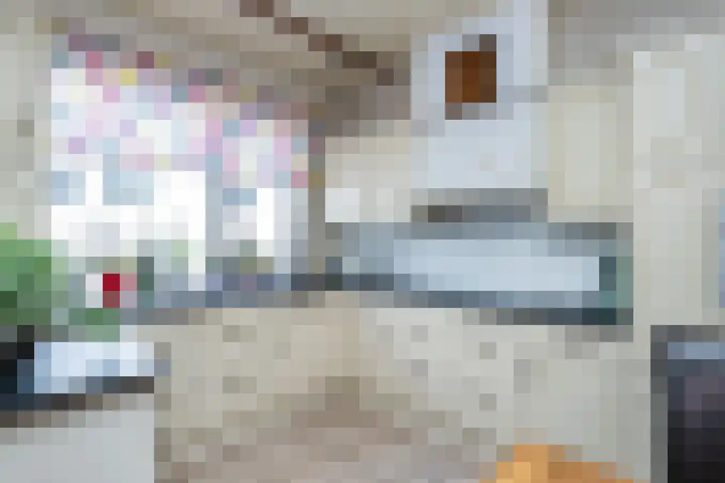Dubbele Ring 8 Sommelsdijk thumbnail 13