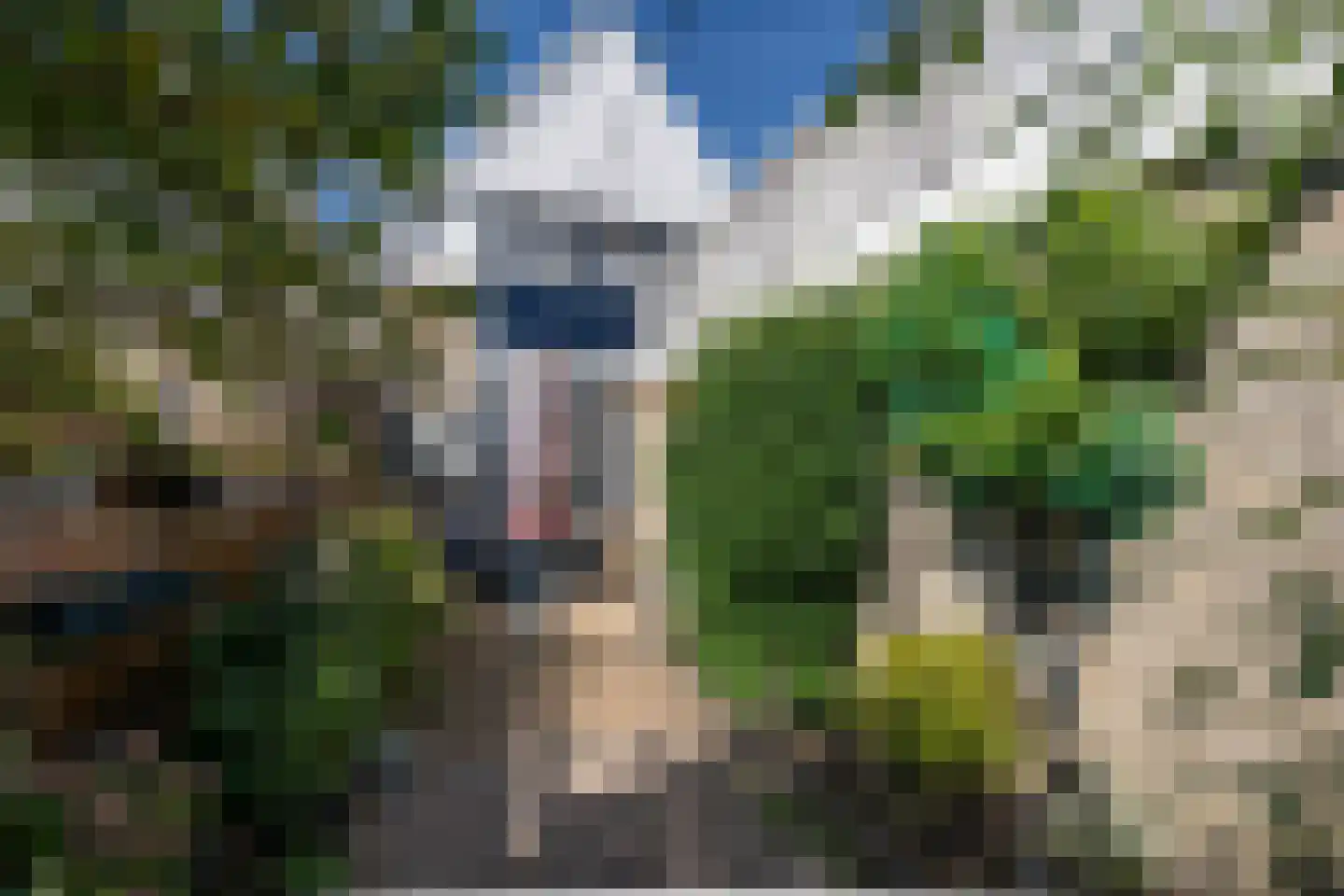 Dubbele Ring 8 Sommelsdijk thumbnail 27