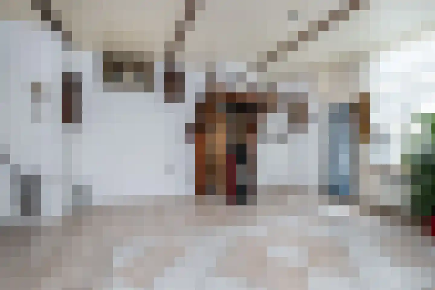 Dubbele Ring 8 Sommelsdijk thumbnail 7