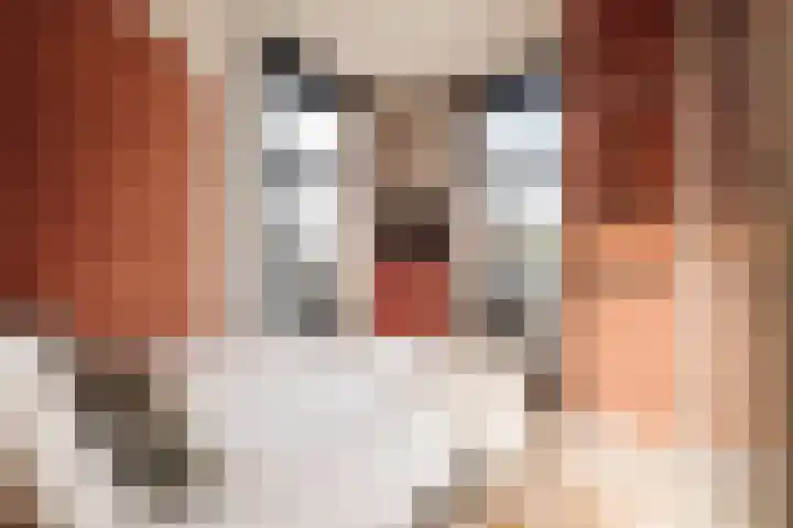 Dubbelebuurt 10 G Wormerveer thumbnail 17