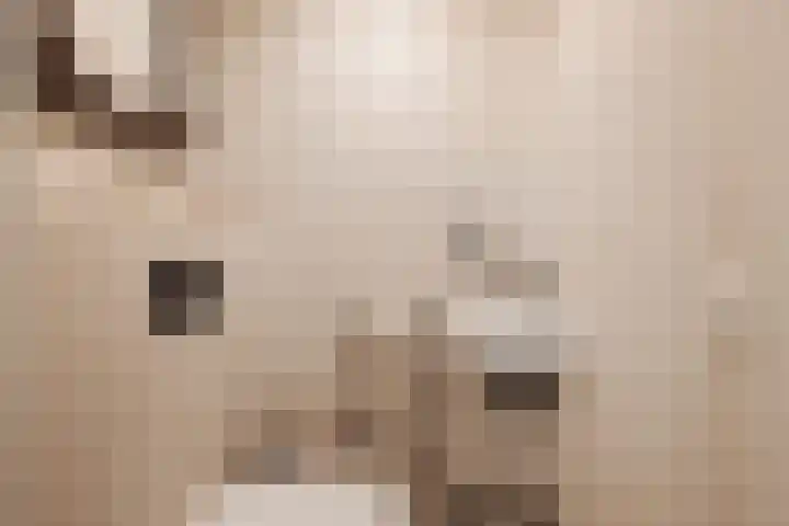 Dubbelebuurt 10 G Wormerveer thumbnail 19