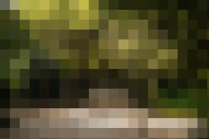 Dubbelebuurt 10 G Wormerveer thumbnail 24
