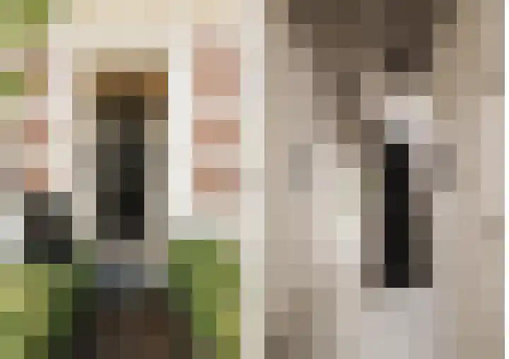 Dubbelebuurt 10 G Wormerveer thumbnail 5
