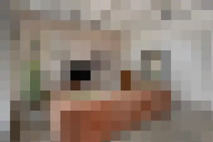 Dubbelebuurt 10 H Wormerveer thumbnail 11