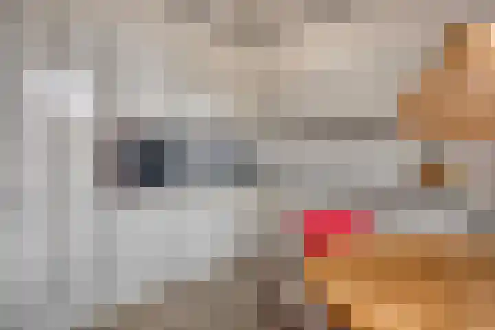 Dubbelebuurt 10 H Wormerveer thumbnail 17