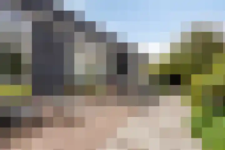 Dubbelebuurt 10 H Wormerveer thumbnail 28
