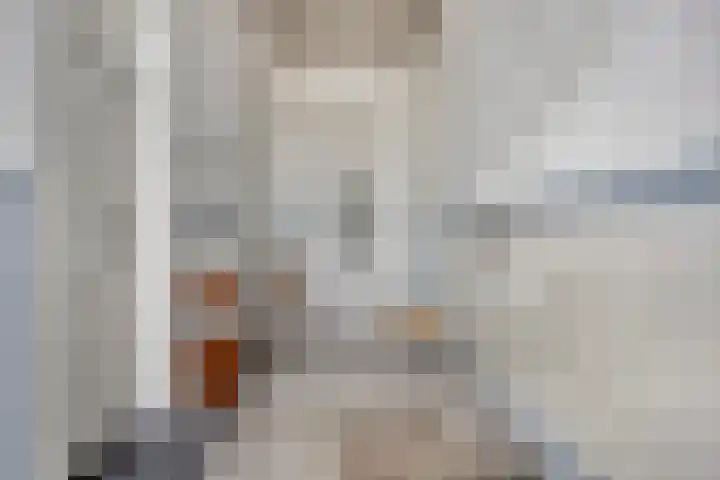 Dubbelebuurt 10 H Wormerveer thumbnail 6