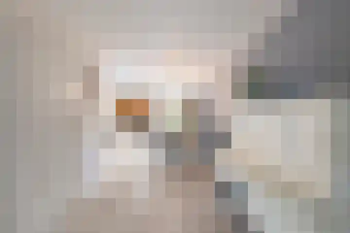 Dubbelebuurt 14 Broek op Langedijk thumbnail 11