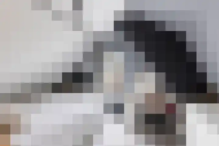 Dubbelebuurt 14 Broek op Langedijk thumbnail 14