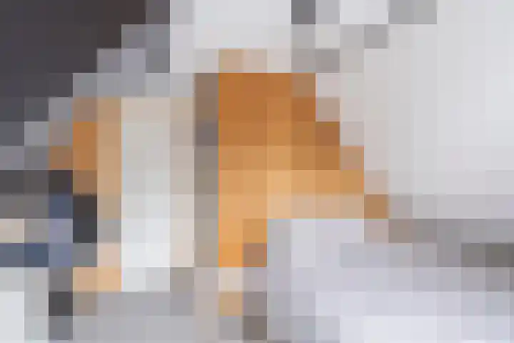 Dubbelebuurt 14 Broek op Langedijk thumbnail 15