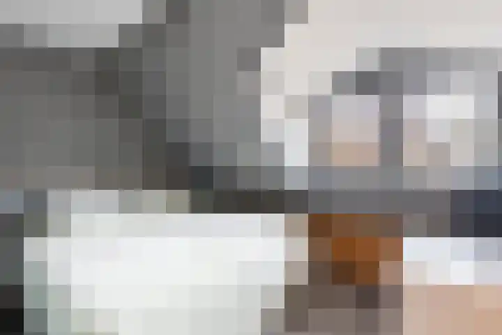 Dubbelebuurt 14 Broek op Langedijk thumbnail 16