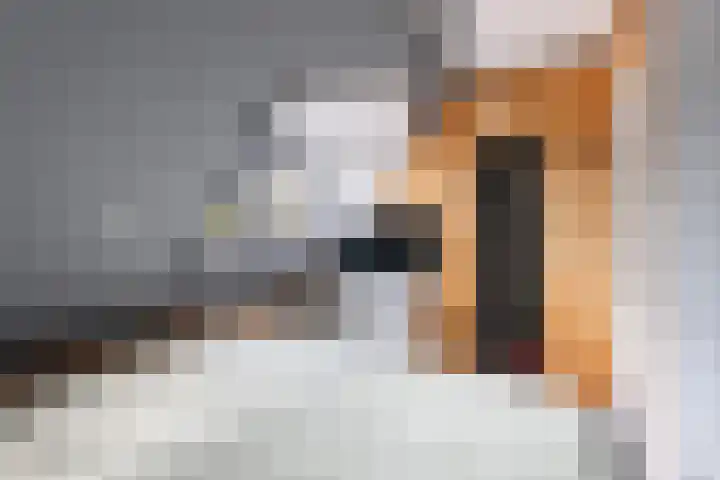 Dubbelebuurt 14 Broek op Langedijk thumbnail 17