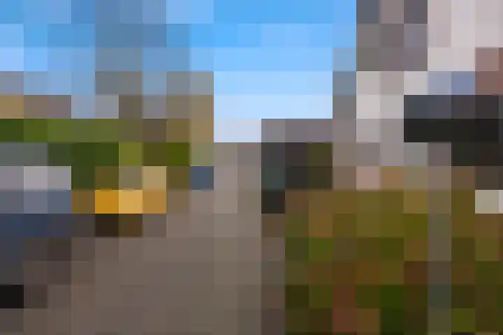 Dubbelebuurt 14 Broek op Langedijk thumbnail 29