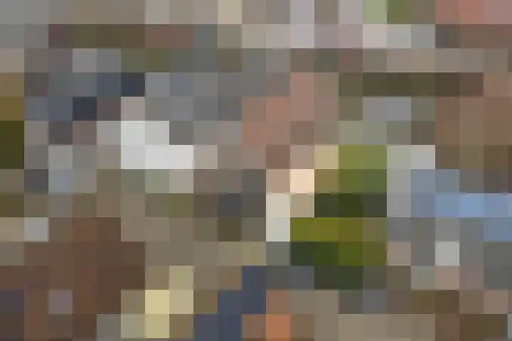 Dubbelebuurt 14 Broek op Langedijk thumbnail 32
